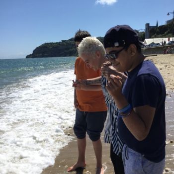 Isle of Wight (11)